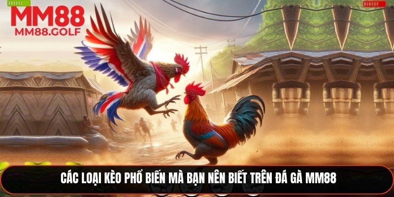 Những loại kèo phổ biến bạn cần biết tại đá gà