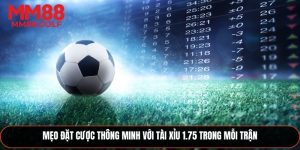 Mẹo Đặt Cược Thông Minh Với Tài Xỉu 1.75 Trong Mỗi Trận