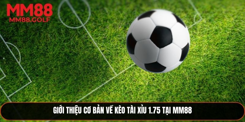Nhìn tổng thể về kèo tài xỉu 1.75