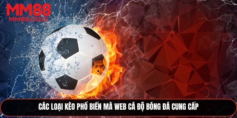 Các loại kèo thông dụng trên web cá độ bóng đá